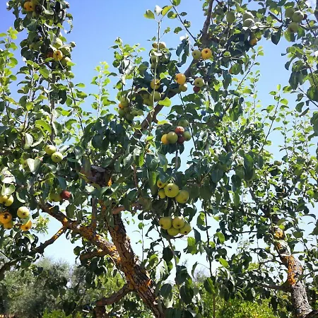 Tenuta Mellitto Frühstückspension